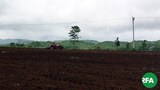 demoso-land-622