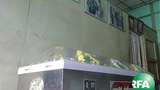 maungtinoo-620.jpg