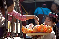 buy_fruits_200px.jpg buy_fruits_200px.jpg