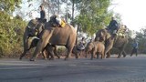 တိုက်ပွဲကြောင့် သာပေါင်းမြို့နယ်က ရာနဲ့ချီတဲ့ ဆင်တွေနဲ့ ဝန်ထမ်းတွေကို အရေးပေါ်ပြောင်းရွှေ့