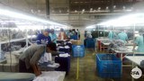 factory-workers-622.jpg