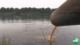 dirty-water-mdy-620.jpg