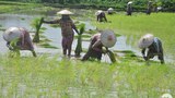 farmers-620.jpg