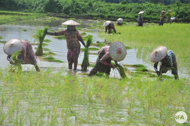 farmers-620.jpg farmers-620.jpg