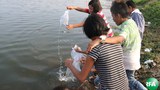 fish-free-305.jpg
