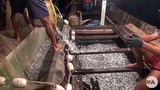 fishery-622.jpg