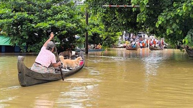 မြစ်ရေကြီးမှုကြောင့် မြို့ ၁၁ မြို့မှာ စိုးရိမ်ရေမှတ်အထက် ရောက်ရှိနေ မြစ်ရေကြီးမှုကြောင့် မြို့ ၁၁ မြို့မှာ စိုးရိမ်ရေမှတ်အထက် ရောက်ရှိနေ