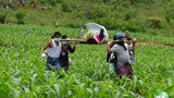lashio-corpse-620.jpg