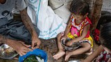 မြန်မာနိုင်ငံအတွက် WFP ကို ဂျာမနီက ယူရိုငွေ ၃ သန်းထပ်လှူ