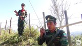 tnla-soldier-620.jpg
