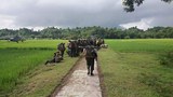 maungtaw-army-620.jpg