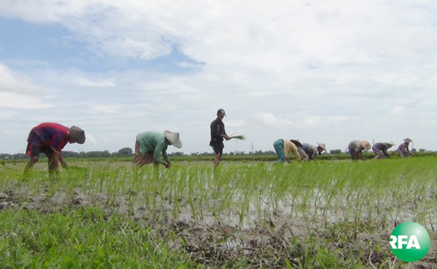 farmers-rakhine-620.jpg farmers-rakhine-620.jpg