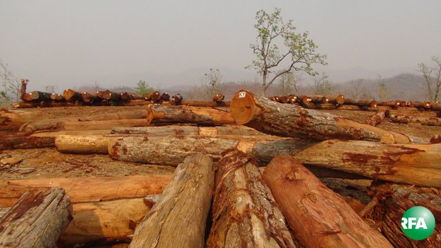 logging-620.jpg logging-620.jpg