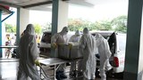 h1n1-622.jpg