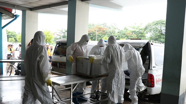 h1n1-622.jpg h1n1-622.jpg