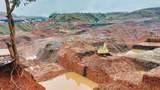 ဖားကန့် ကျောက်စိမ်းလုပ်ကွက် မန်နေဂျာတစ်ဦးနဲ့ ယာဉ်ခုနစ်စီး ဖမ်းဆီးခံရ