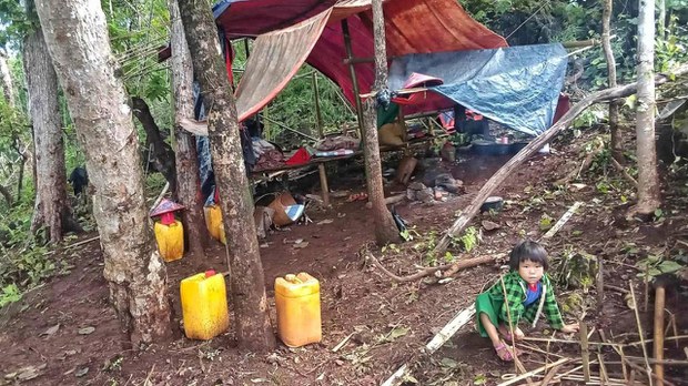 ဖရူဆိုမှာ စစ်ကြောင်းဝင်လာလို့ ဒေသခံ လေးထောင်နီးပါး ထွက်ပြေးနေရ ဖရူဆိုမှာ စစ်ကြောင်းဝင်လာလို့ ဒေသခံ လေးထောင်နီးပါး ထွက်ပြေးနေရ