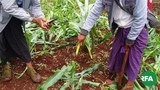 hsihseng-farmers-622.jpg