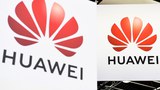 hauwei-622.jpg