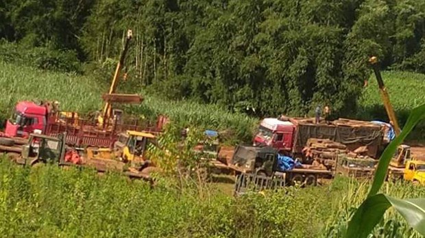 illegal-logging-622.JPG