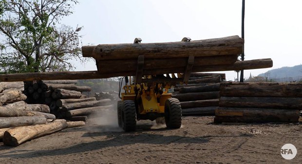 logging-620.jpg logging-620.jpg