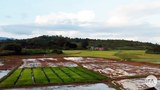 shan-land-622.jpg