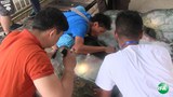jewelry-exhibition-620.jpg