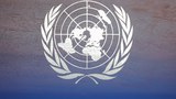 UN တံဆိပ်သုံးပြီး စစ်ကောင်စီလှုပ်ရှားနေတယ်ဆိုတဲ့ကိစ္စ စုံစမ်းစစ်ဆေးပေးဖို့တောင်းဆို