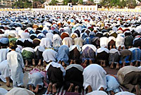 mosque_prayers_200px.jpg mosque_prayers_200px.jpg