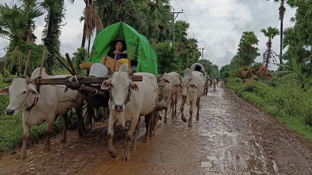 စစ်ကောင်စီတပ်ကြောင့် ကန့်ဘလူဒေသခံခြောက်ထောင်ကျော် ထွက်ပြေး စစ်ကောင်စီတပ်ကြောင့် ကန့်ဘလူဒေသခံခြောက်ထောင်ကျော် ထွက်ပြေး