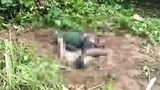 3kachin-killed-622.jpg