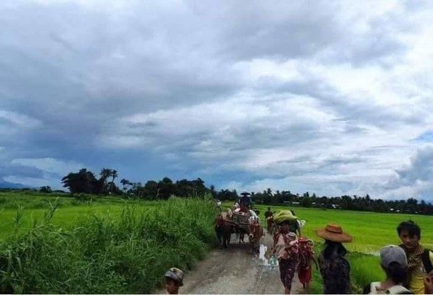 ကလေးဒေသ စစ်ကောင်စီနယ်မြေရှင်းမှု ဒေသခံ သောင်းနဲ့ချီထွက်ပြေး ကလေးဒေသ စစ်ကောင်စီနယ်မြေရှင်းမှု ဒေသခံ သောင်းနဲ့ချီထွက်ပြေး