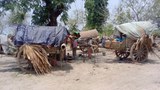 ကန့်ဘလူမှာ အမျိုးသမီး ရှစ်ဦးအပါအဝင် ဒေသခံ ၁၄ ဦး အဖမ်းခံရ