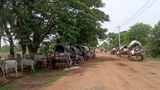 ကန့်ဘလူမှာ စစ်ကောင်စီတပ်ကြောင့် ဒေသခံ တစ်သောင်းခွဲကျော် ထွက်ပြေးနေရ
