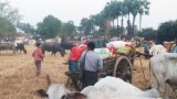 ကန့်ဘလူဒေသခံ သုံးဦး ဖမ်းဆီးသတ်ဖြတ်ခံရ