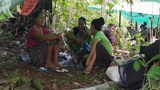 နှစ်သစ်ကူးနေ့ကို ကရင်ပြည်သူတွေ ဘေးကင်းလုံခြုံမှုမရှိဘဲ ဖြတ်သန်းနေရကြောင်း NUG ပြော