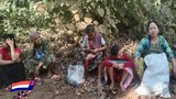 KNU နယ်မြေမှာ နှစ်ပတ်အတွင်း တိုက်ပွဲ ၅၅ ကြိမ်ဖြစ်ပွား၊ ဒေသခံငါးထောင်ကျော် ထွက်ပြေး