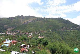 mawche-305.jpg mawche-305.jpg