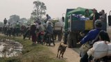 နယ်မြေရှင်းလင်းမှုကြောင့် ခင်ဦးမြို့နယ်က အရပ်သား ရှစ်ထောင်နီးပါး ထွက်ပြေး