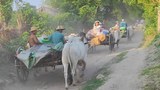 ခင်ဦးမြို့နယ်မှာ စစ်ကြောင်းထိုးမီးရှို့နေလို့ ဒေသခံ ခုနစ်ထောင်ကျော် ထွက်ပြေးနေရ