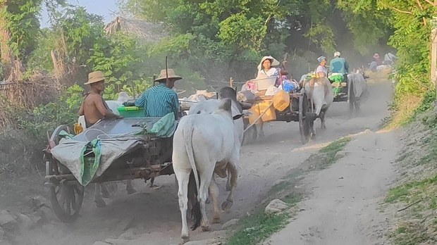 ခင်ဦးမြို့နယ်မှာ စစ်ကြောင်းထိုးမီးရှို့နေလို့ ဒေသခံ ခုနစ်ထောင်ကျော် ထွက်ပြေးနေရ ခင်ဦးမြို့နယ်မှာ စစ်ကြောင်းထိုးမီးရှို့နေလို့ ဒေသခံ ခုနစ်ထောင်ကျော် ထွက်ပြေးနေရ