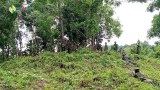 ဖားကန့်က စစ်ကောင်စီတပ် ဗျူဟာကုန်းကို KIA သိမ်းပိုက်