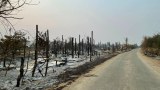 စစ်ကြောင်းဝင်သွားတဲ့ ရွှေကူမြို့နယ် စီသာရွာမှာ ဒေသခံ ၁၀ ဦးအသတ်ခံခဲ့ရ