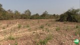 kyaukphyu-farm-620.jpg
