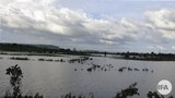 flooding-622.jpg