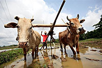 farmer_plough_200px.jpg farmer_plough_200px.jpg