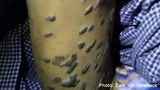 police-torture-622.jpg