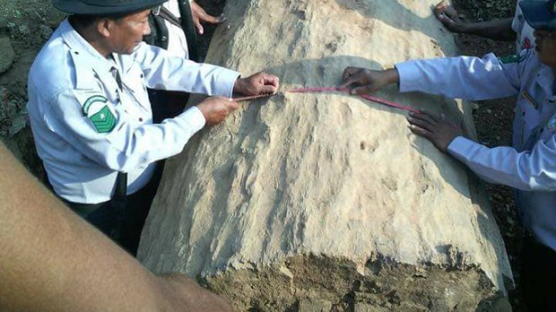 magway-fossil-622.jpg magway-fossil-622.jpg