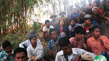 malatto_farmer_305.jpg