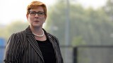 marise-payne-622.jpg